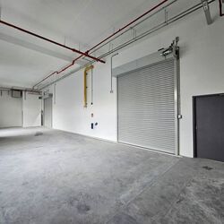Ct Foodnex (D25), Factory #575435031